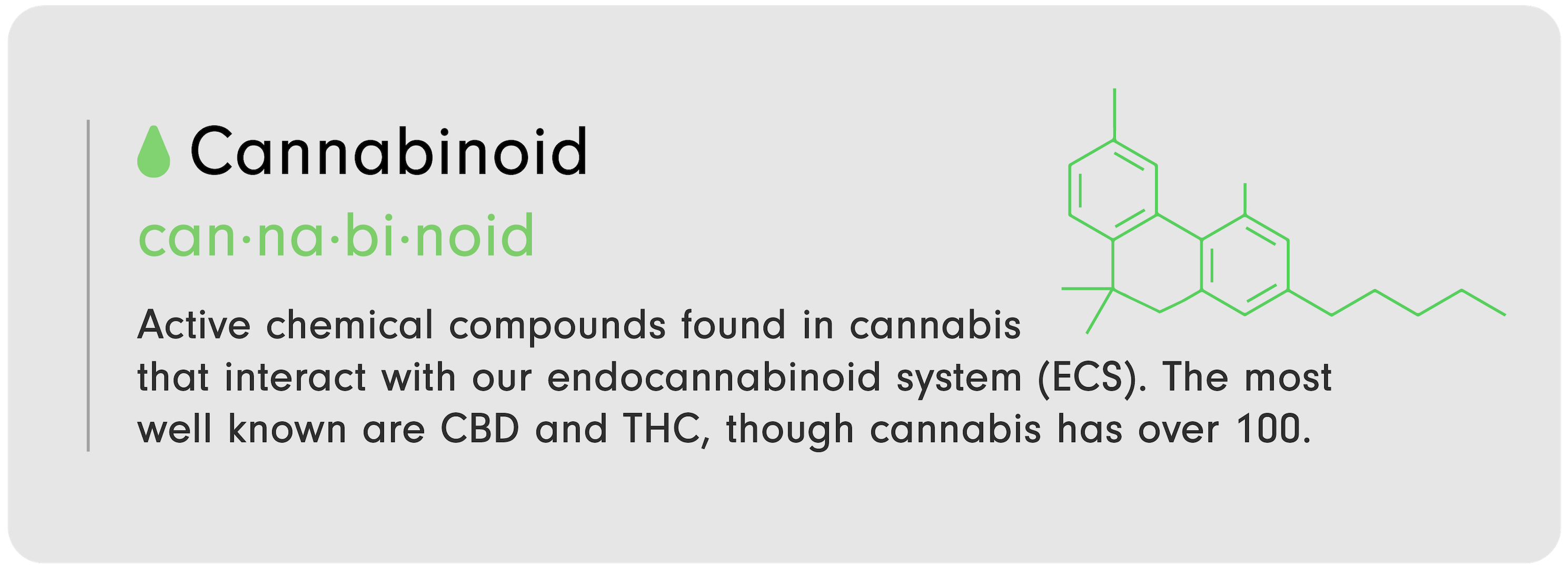 CBD 101 infographic by LEVO that reads, "Cannabinoid: Active chemical compounds found in c----bis that interact with our endocannabinoid system (ECS). The most well known are CBD and THC, though c----bis has over 100."
