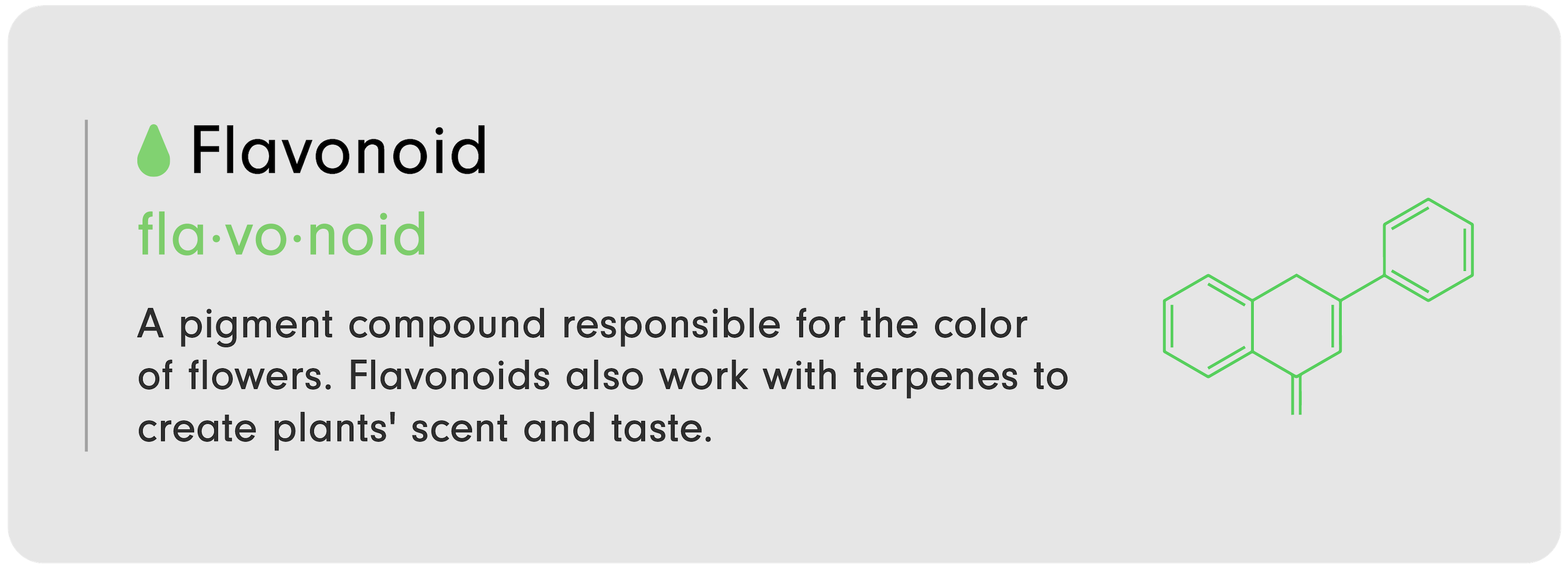 CBD 101 infographic by LEVO that reads, "Flavonoid: A pigment compound responsible for the color of flowers. Flavonoids also work with terpenes to create plants' scent and taste."