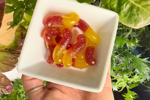 flower infused gummy edibles