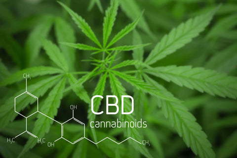 photo of cbd flowers on green leave background with chemical formula 