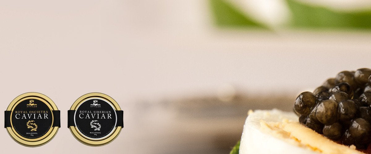 Echten Kaviar online kaufen | Caviar Stör & mehr | Attilus Kaviar