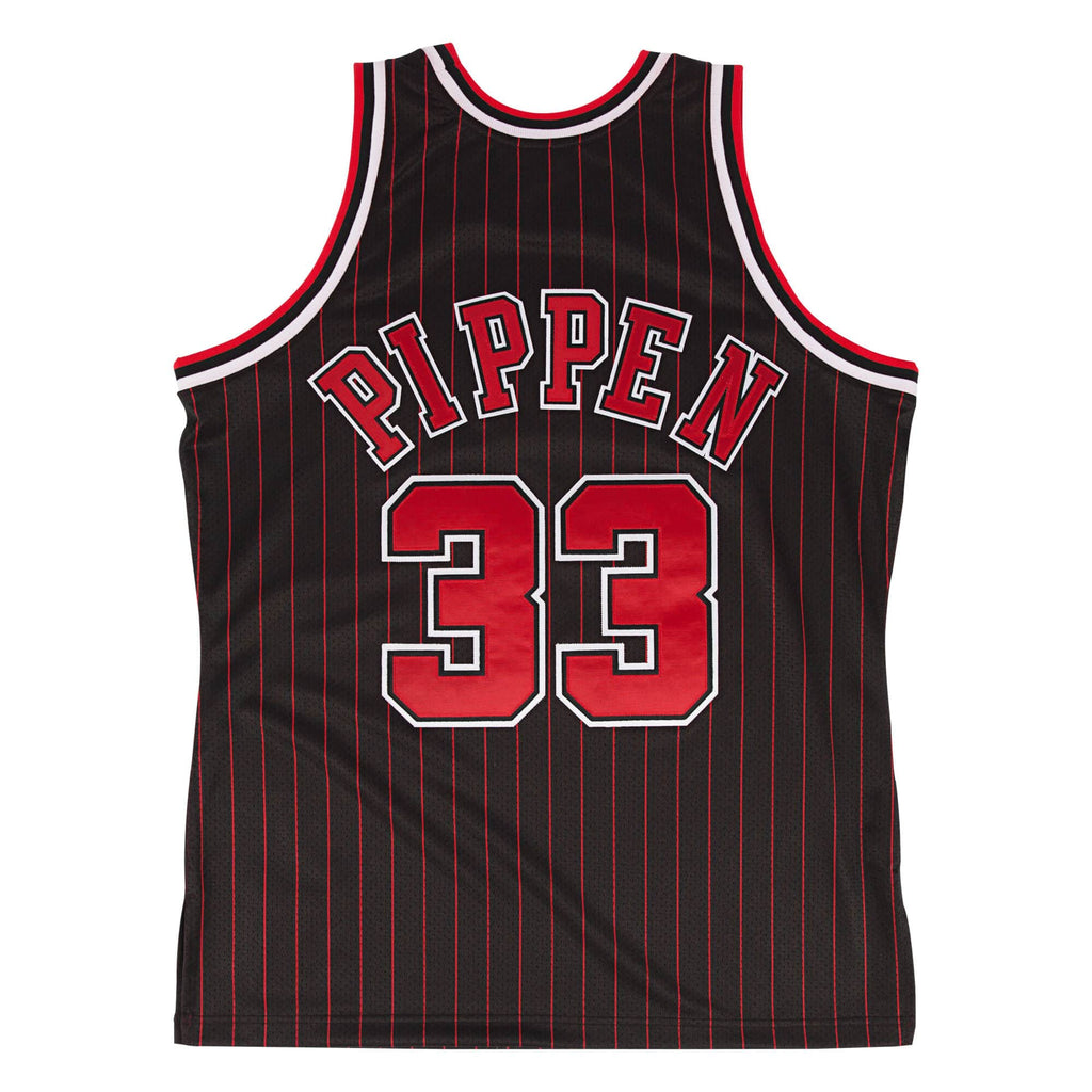 pippen youth jersey