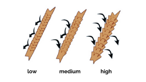 natural hair porosity diagram