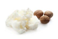 shea-butter-nuts