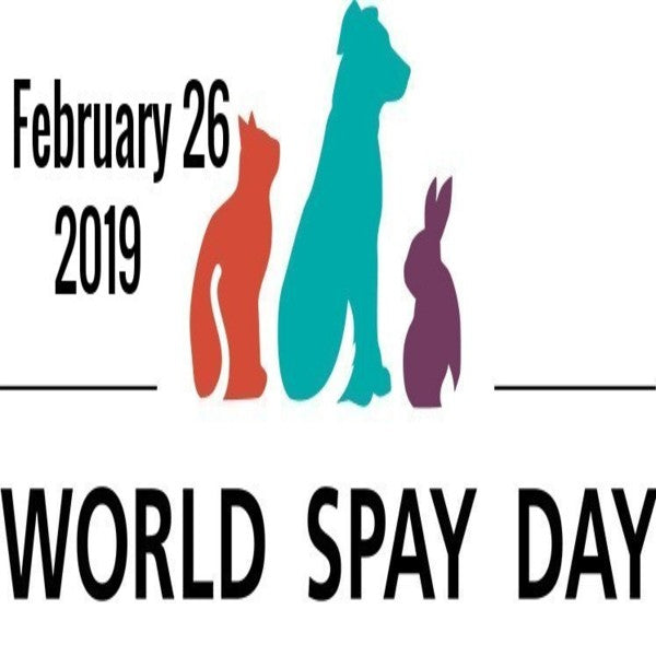 World Spay Day