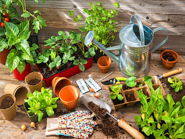 Gardening Tools