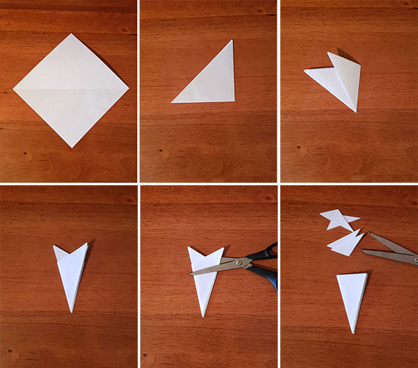 Paper Snowflake Folding