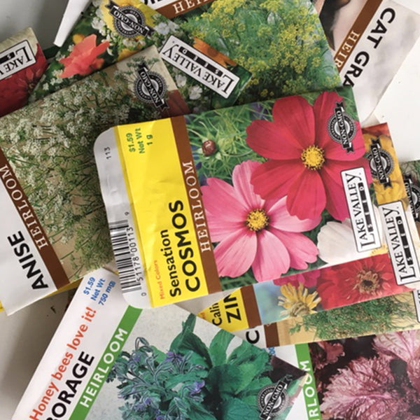 How to Organize Seed Packets