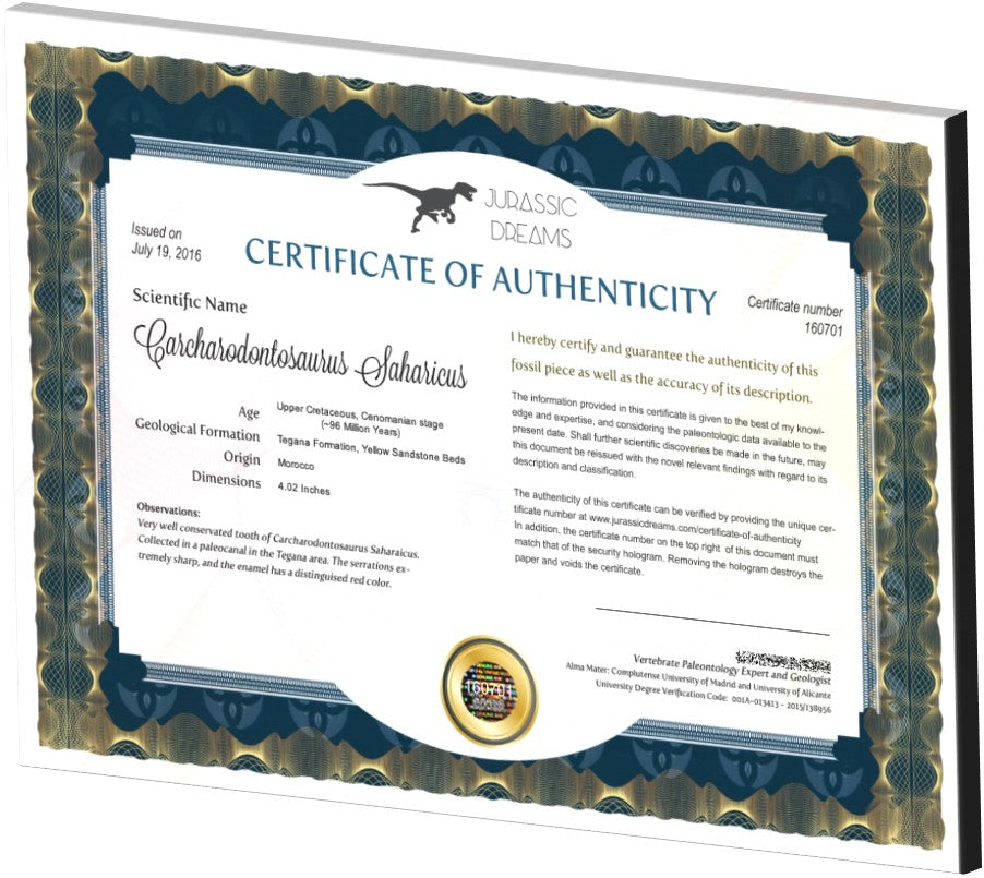 Certificate of Authenticity