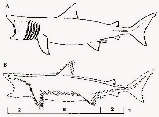 Plesiosaur vs Basking Shark
