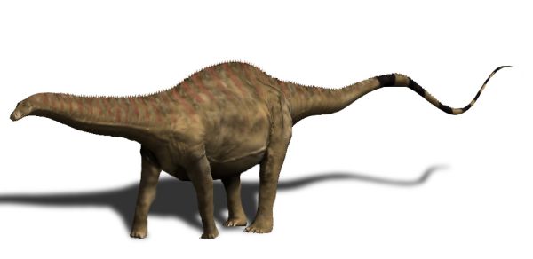 Rebbachisaurus garasbae