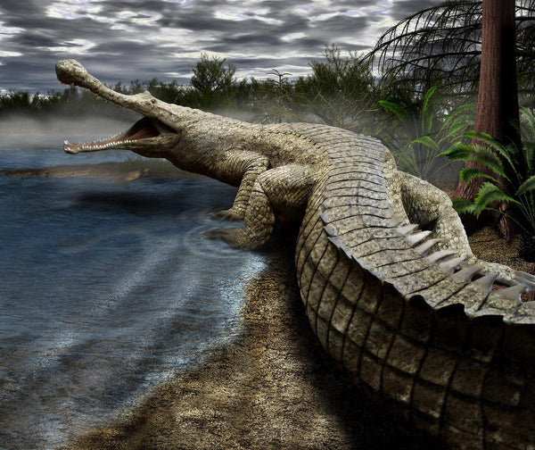 Walking with Dinosaurs: Deinosuchus by TrefRex on DeviantArt