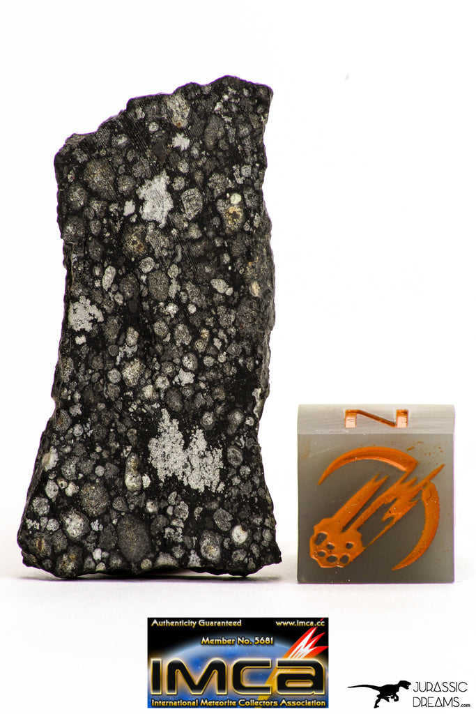 doubletake carbonite