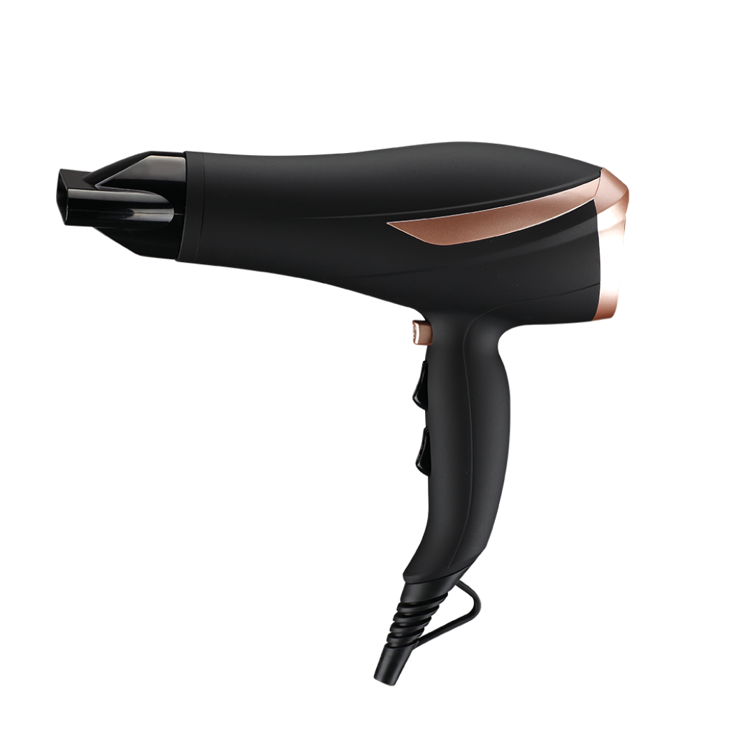 Professional Hair Dryer - Black/Rose Gold