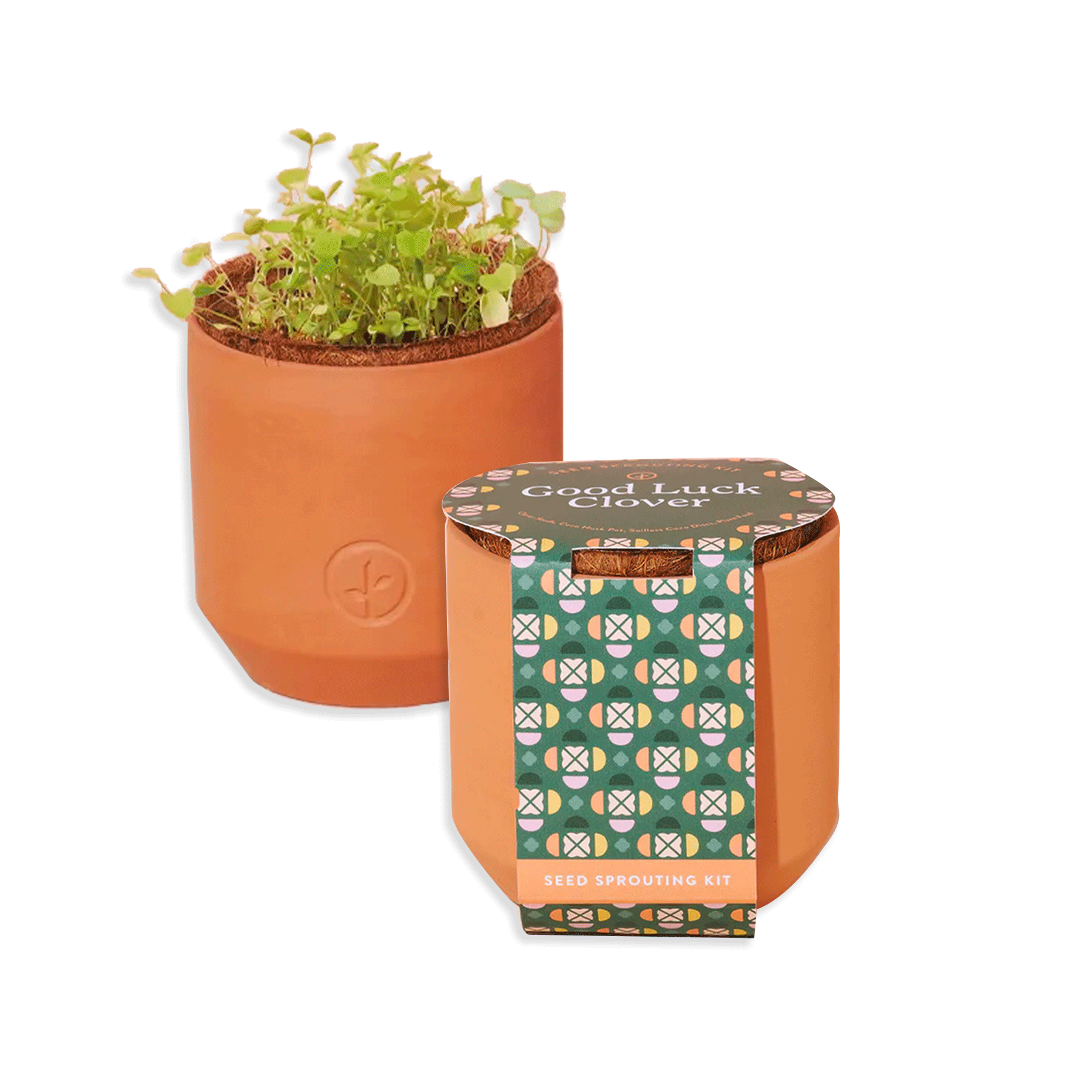 Good Luck Clover Terracotta Grow Kit