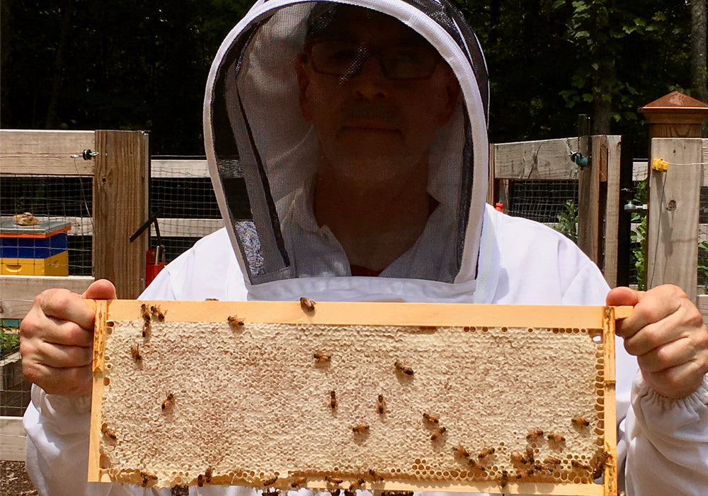 Beekeeper Sean Collinsworth works the hives at the Killer Bees Honey apiaries