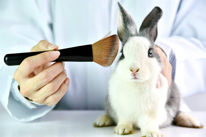 Maquillaje mexicano cruelty free que debes incluir en tu cosmetiquera –  Amara Beauty