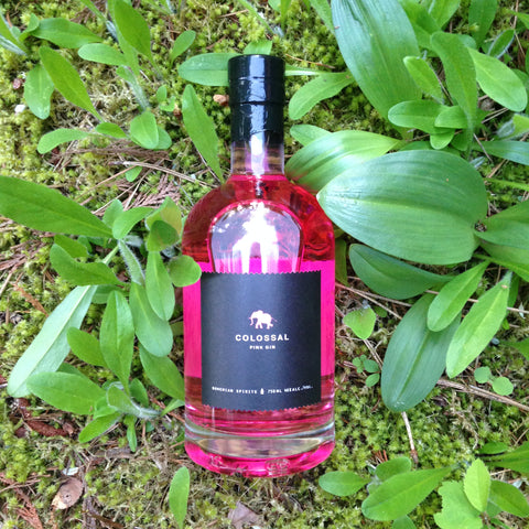 Bohemian Spirits Pink Gin, Kimberley BC, collaboration with Kootz Collective