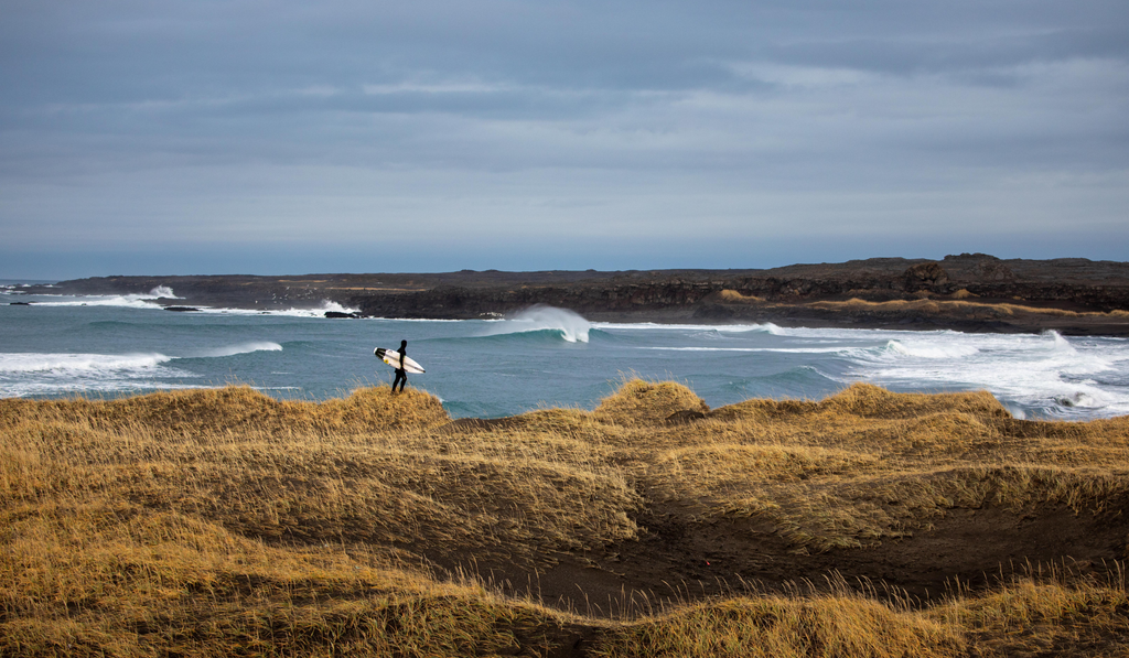 Surfer standing in the wind in Iceland about to go surfing