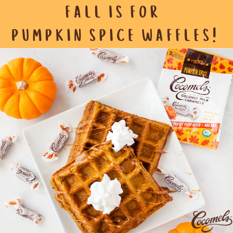 Pumpkin Spice Waffles just in time for fall.