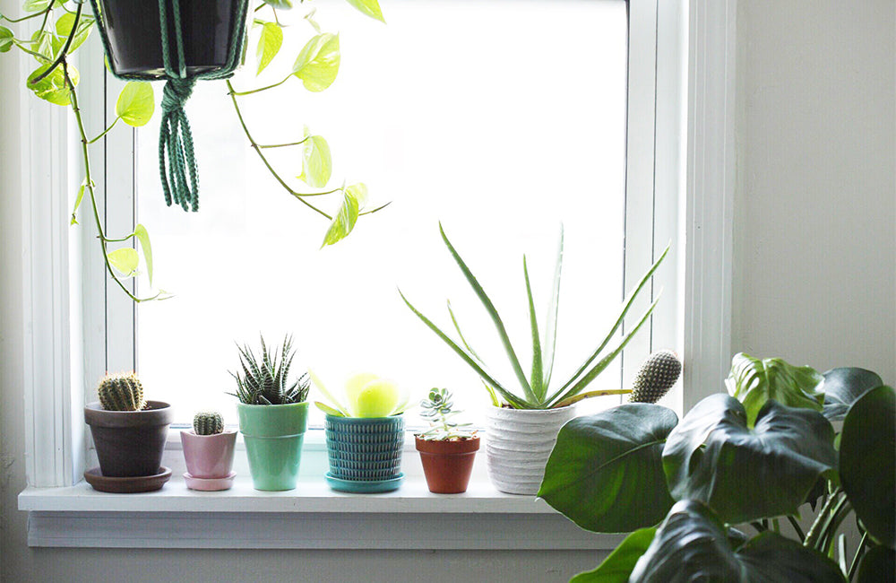 With-a-Window-Display_Colorfly-Blog