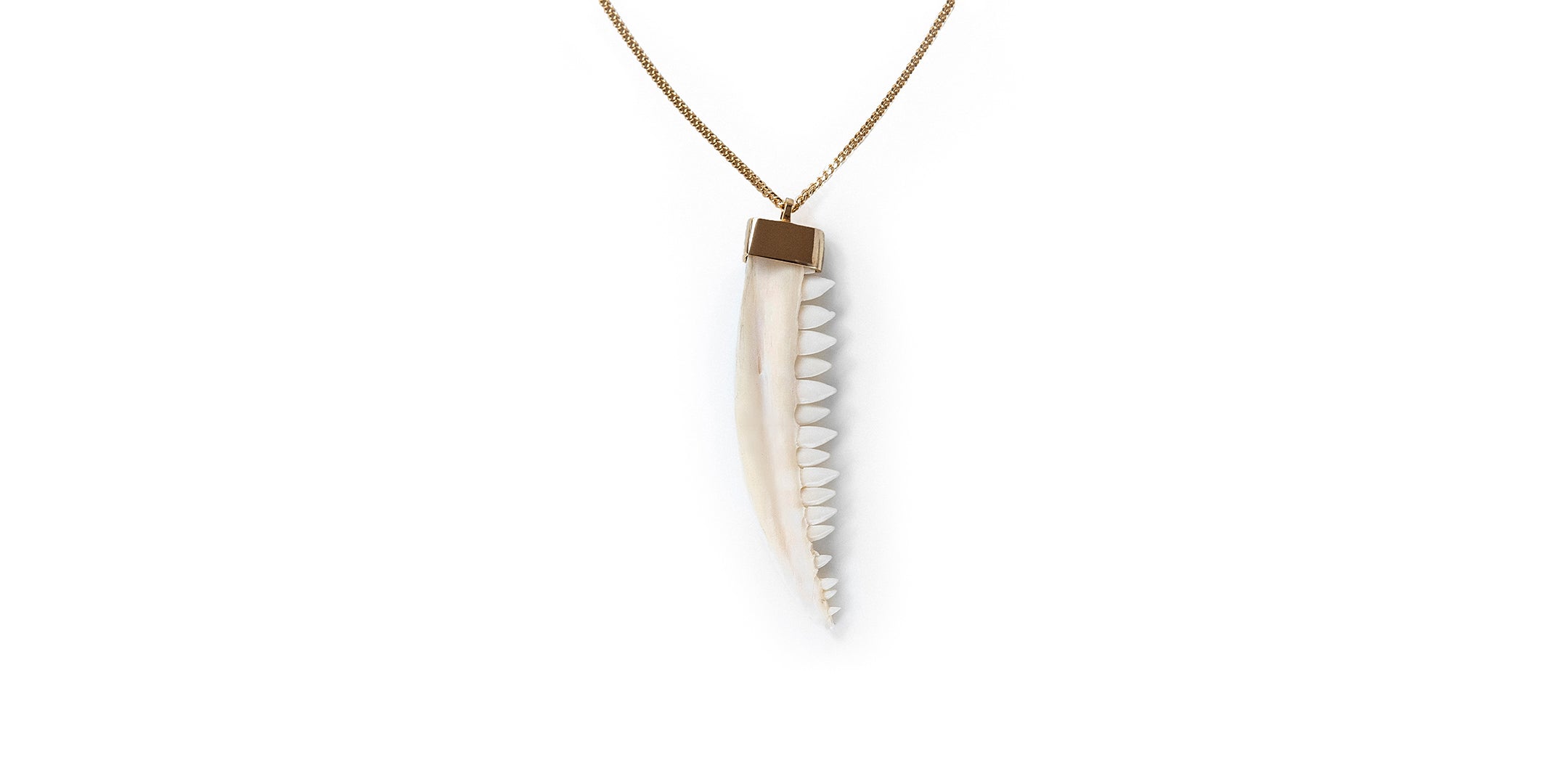 NORTH/SOUTH BARRACUDA JAW NECKLACE (gold)