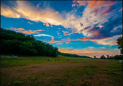 Brushy Creek Lodge & Resort
