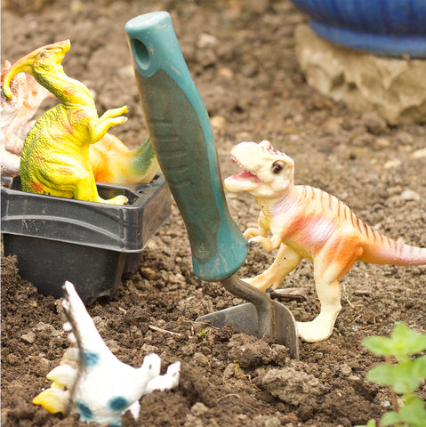 how to play with dinosaurs in the garden