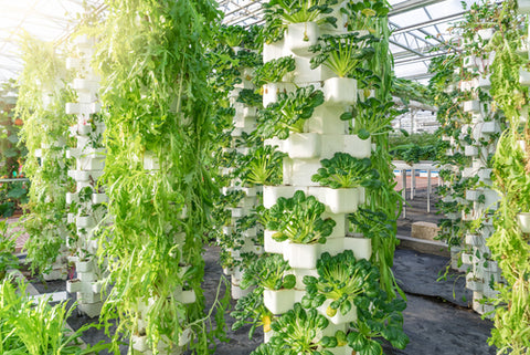 What Is Hydroponic Gardening? vertical hydroponic gardening 