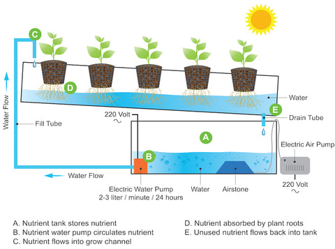 6 Types Of Hydroponic Systems And How To Choose The Right One