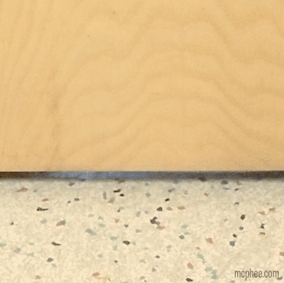 Poking finger cat paws under a door