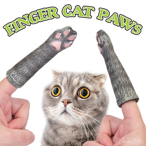 Finger Cat Paws with cat staring