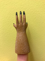 back of handisquirrel paw