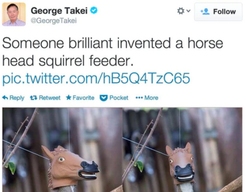 George Takei tweet, Someone brilliant invented a horse head squirrel feeder. 