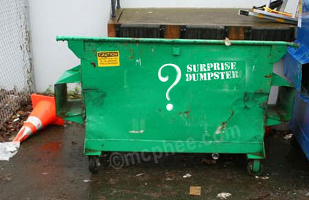 Surprise Dumpster