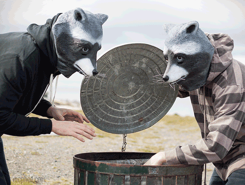 Two people in raccoon masks getting into a garbage can