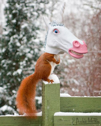 Squirrel on fence eating out of unicorn head squirrel feeder