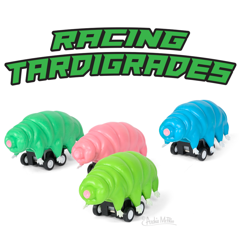 Racing Tardigrades Bulk Box