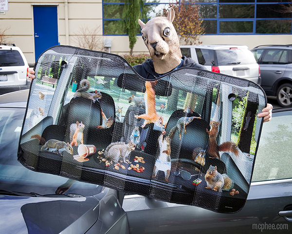 auto sunshades