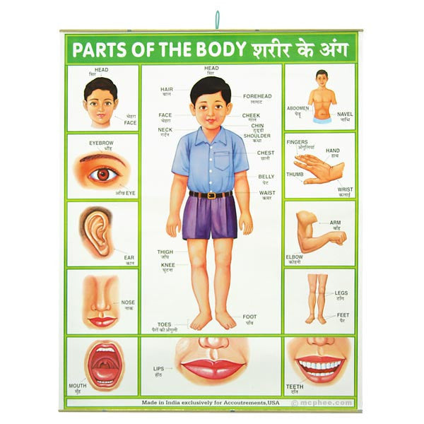 parts_of_the_body_indian_poster_grande