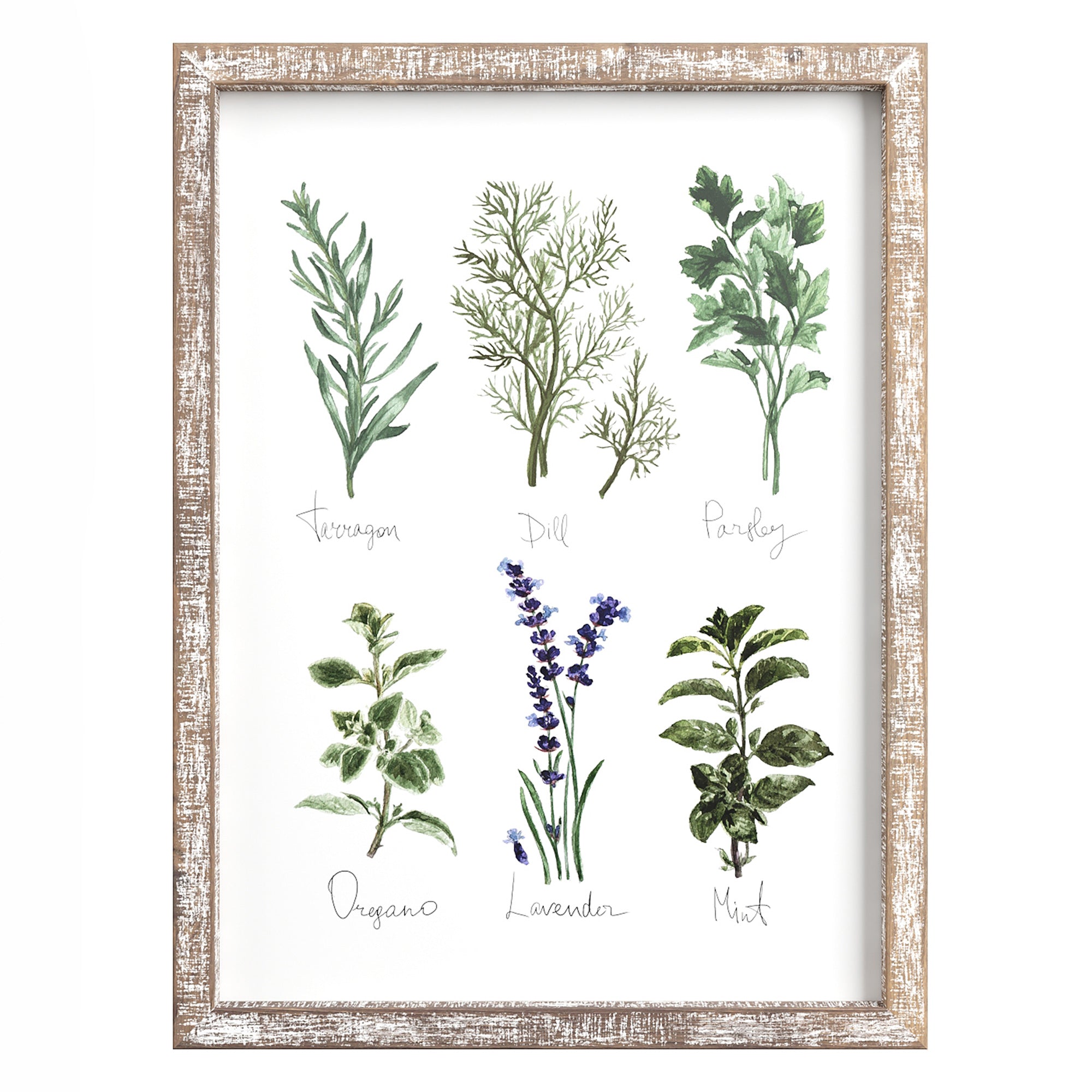 Kitchen Herbs & Spices Print