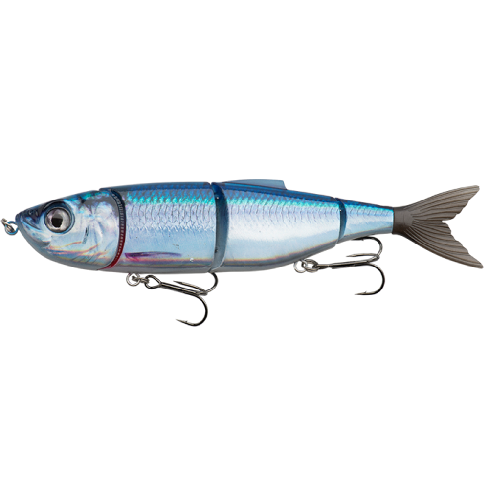 Lakewood Pike / Saltwater Locker Soft-Sided Hard Lure Hanging Case