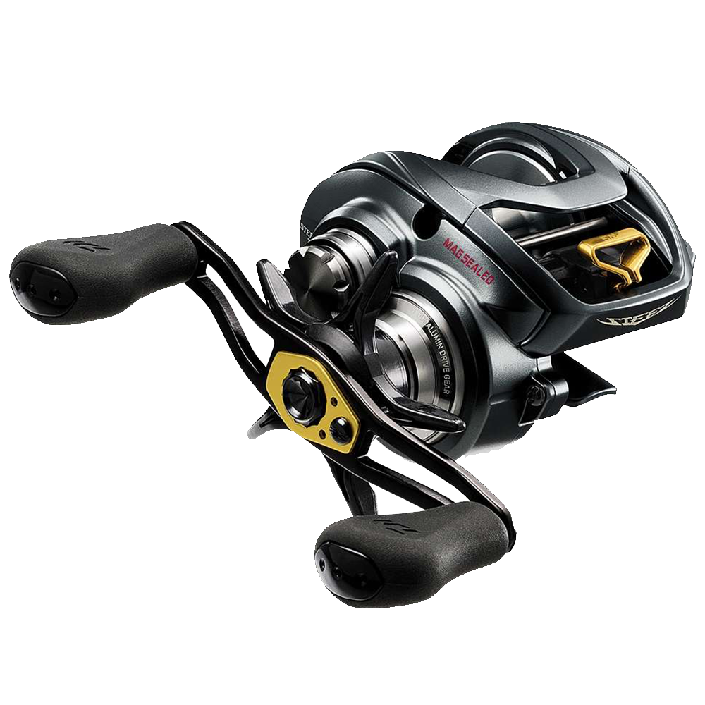 Daiwa Zillion SV TW G