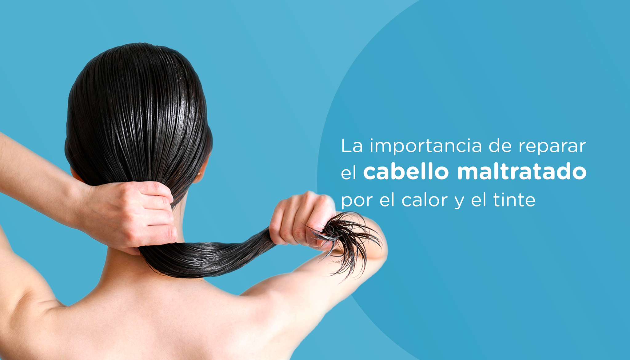PORTADA - La importancia de reparar el cabello maltratado por el calor y el tinte