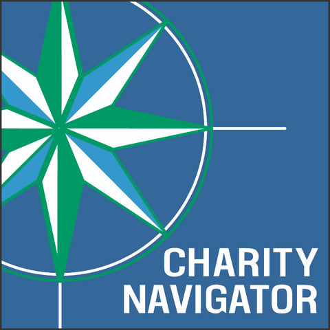 charity navigator