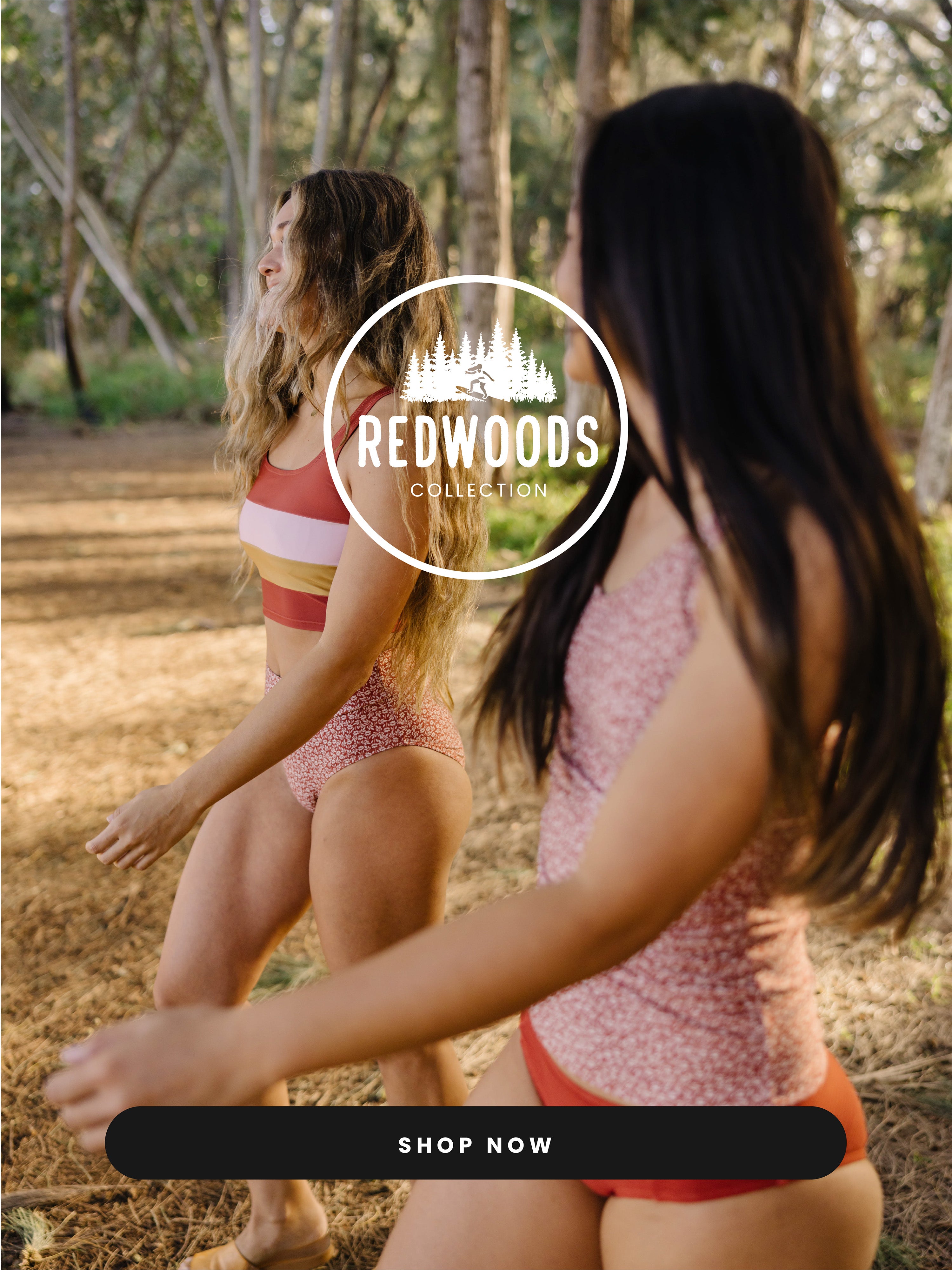 Redwoods Collection Image