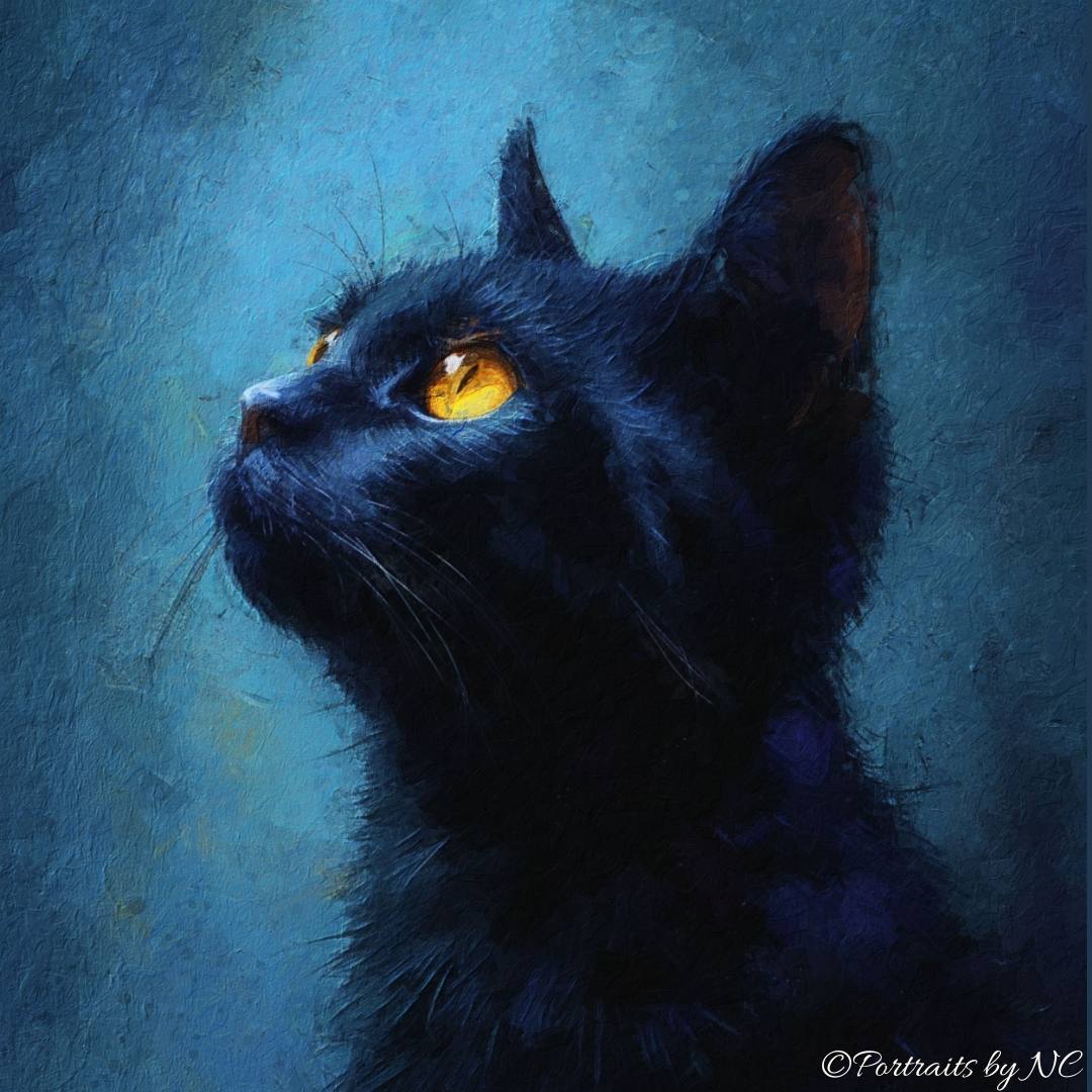 Black Cat Portrait in Oil