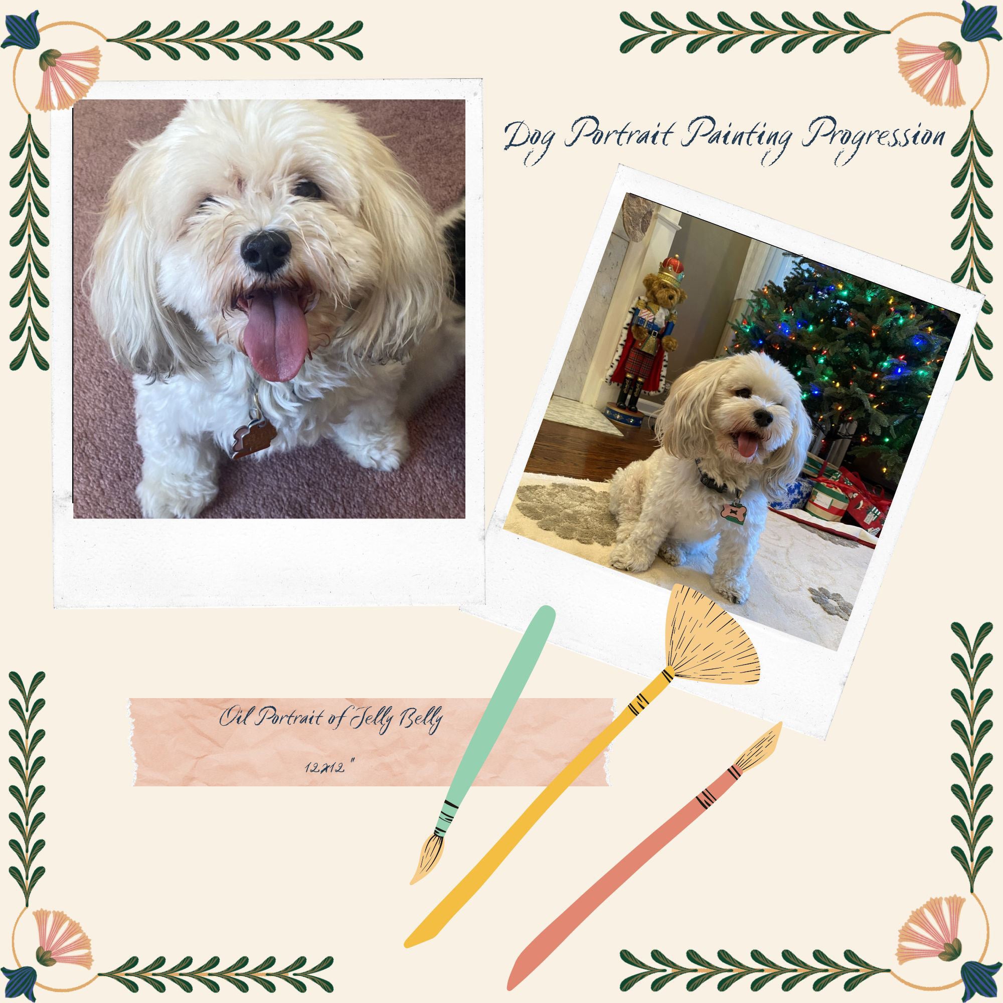 reference photo for Havanese Portrait