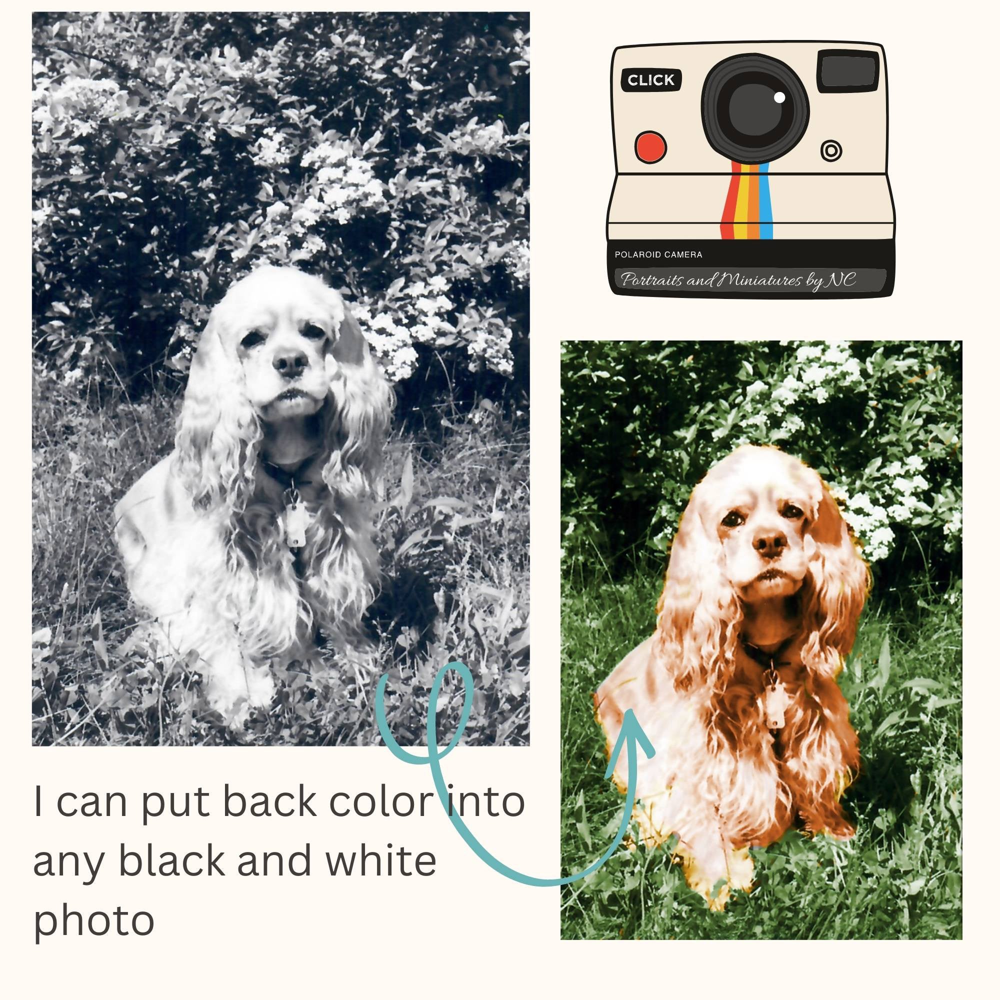 From Black and white photo to color