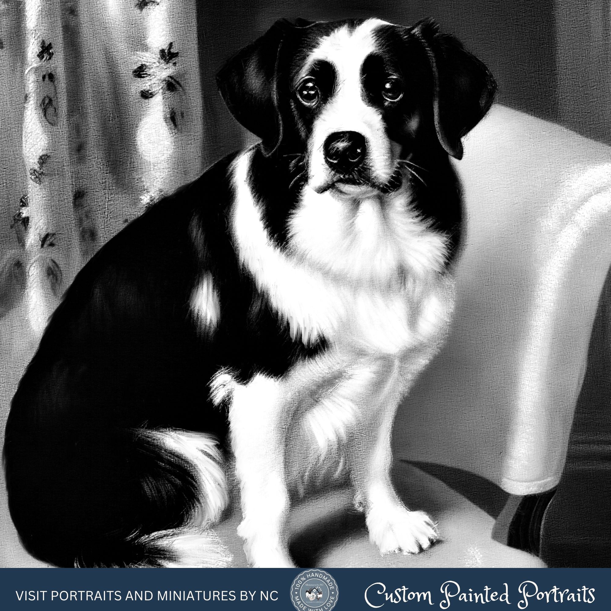 black and white border collie underpainting